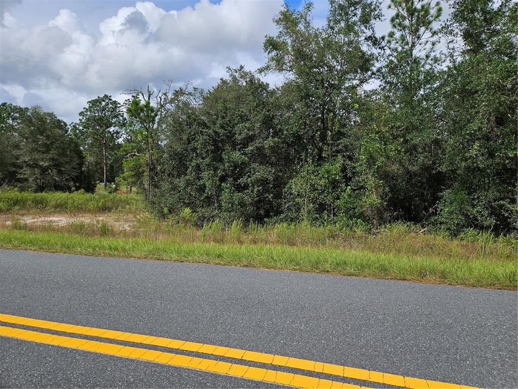 Property for sale at TBD SW BEACH BOULEVARD, DUNNELLON, FL, 34431