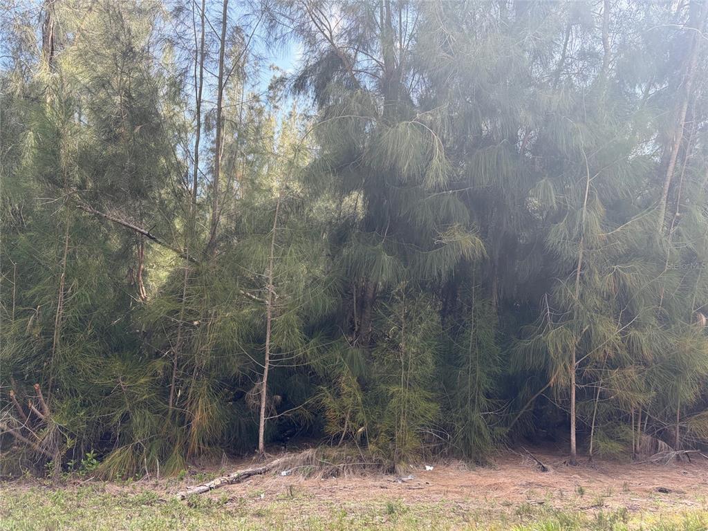 Property for sale at 12088 ESTRELLA BOULEVARD, PUNTA GORDA, FL, 33955