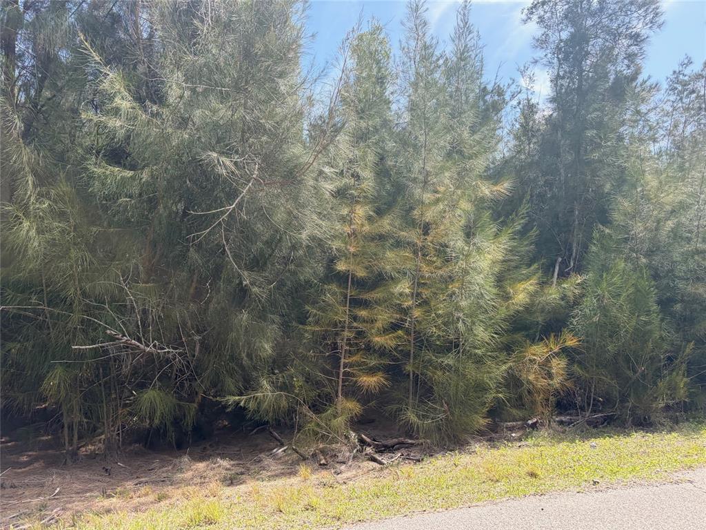 Property for sale at 12088 ESTRELLA BOULEVARD, PUNTA GORDA, FL, 33955