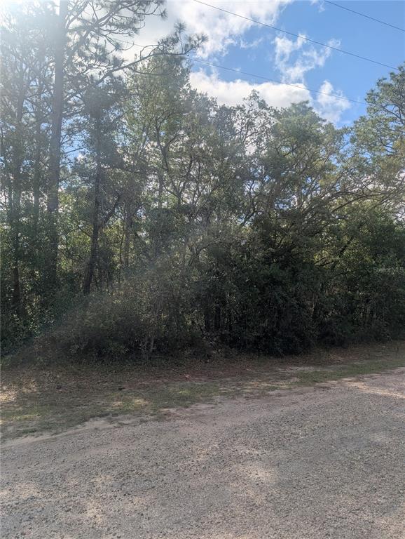 Property for sale at 8791 N FOLLAND DRIVE, DUNNELLON, FL, 34433