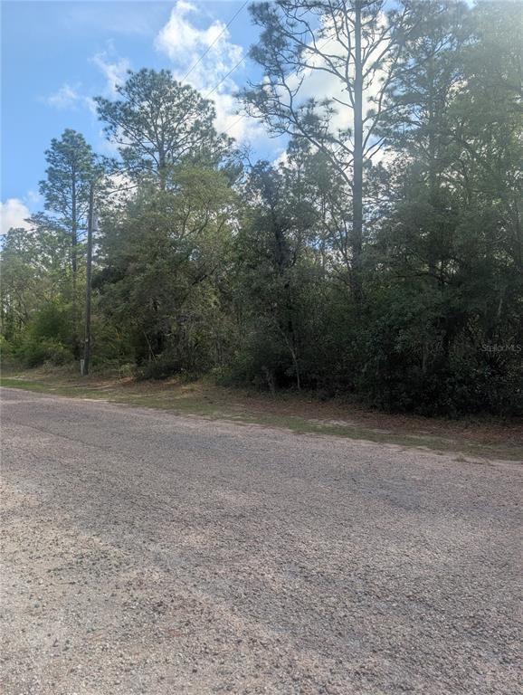 Property for sale at 8791 N FOLLAND DRIVE, DUNNELLON, FL, 34433