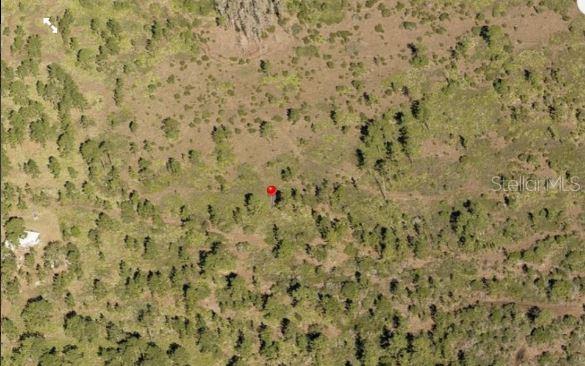 Property for sale at HOLOPAW GROVES ROAD, ST CLOUD, FL, 34773