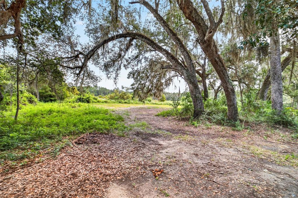 Property for sale at 5686 E HIGHWAY 316, CITRA, FL, 32113