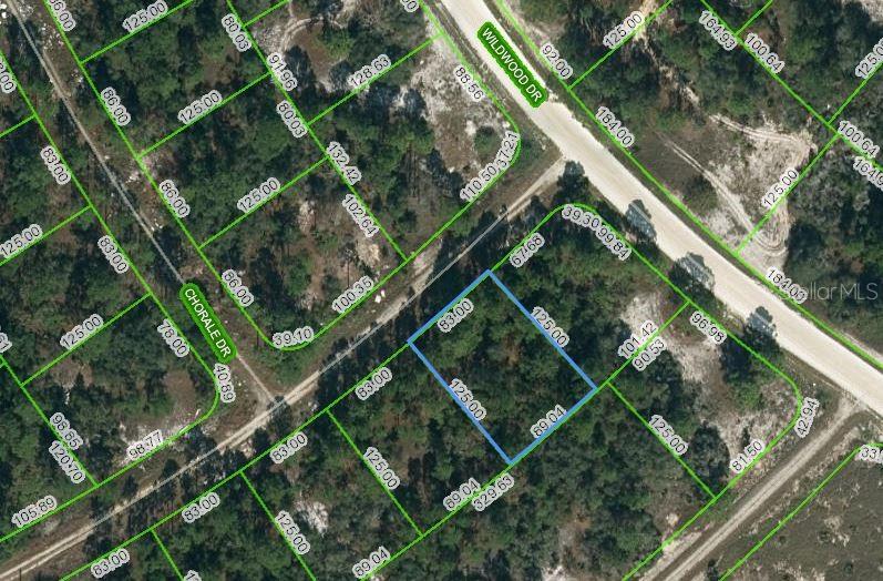 Property for sale at 391 CARTIER AVENUE, LAKE PLACID, FL, 33852