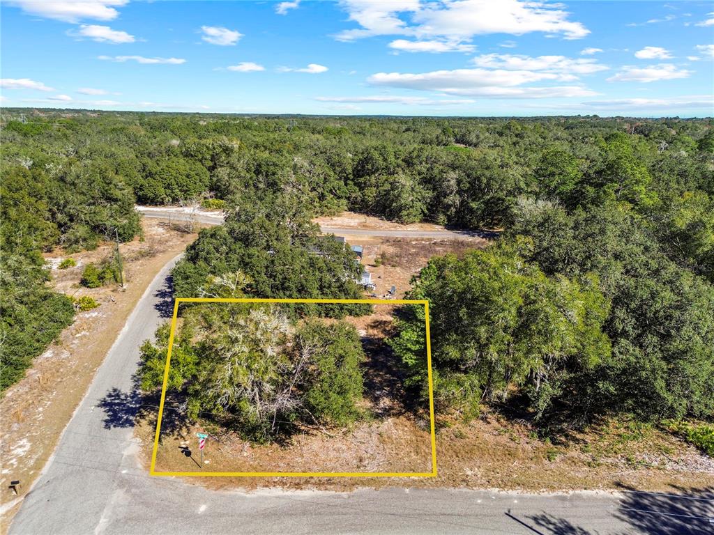 Property for sale at 0 GUAVA TERRACE PLACE & BAY PLACE RUN, OCKLAWAHA, FL, 32179