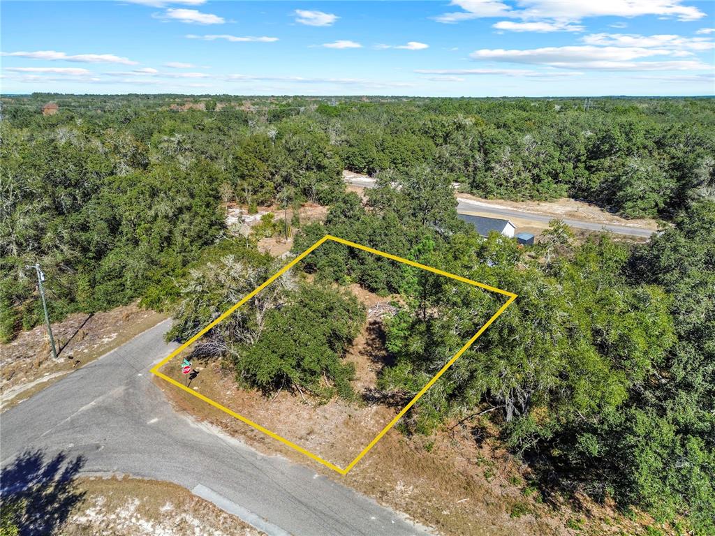 Property for sale at 0 GUAVA TERRACE PLACE & BAY PLACE RUN, OCKLAWAHA, FL, 32179