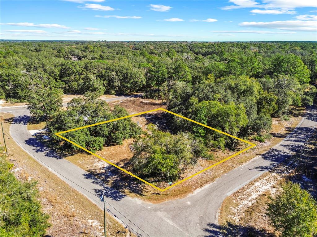 Property for sale at 0 GUAVA TERRACE PLACE & BAY PLACE RUN, OCKLAWAHA, FL, 32179