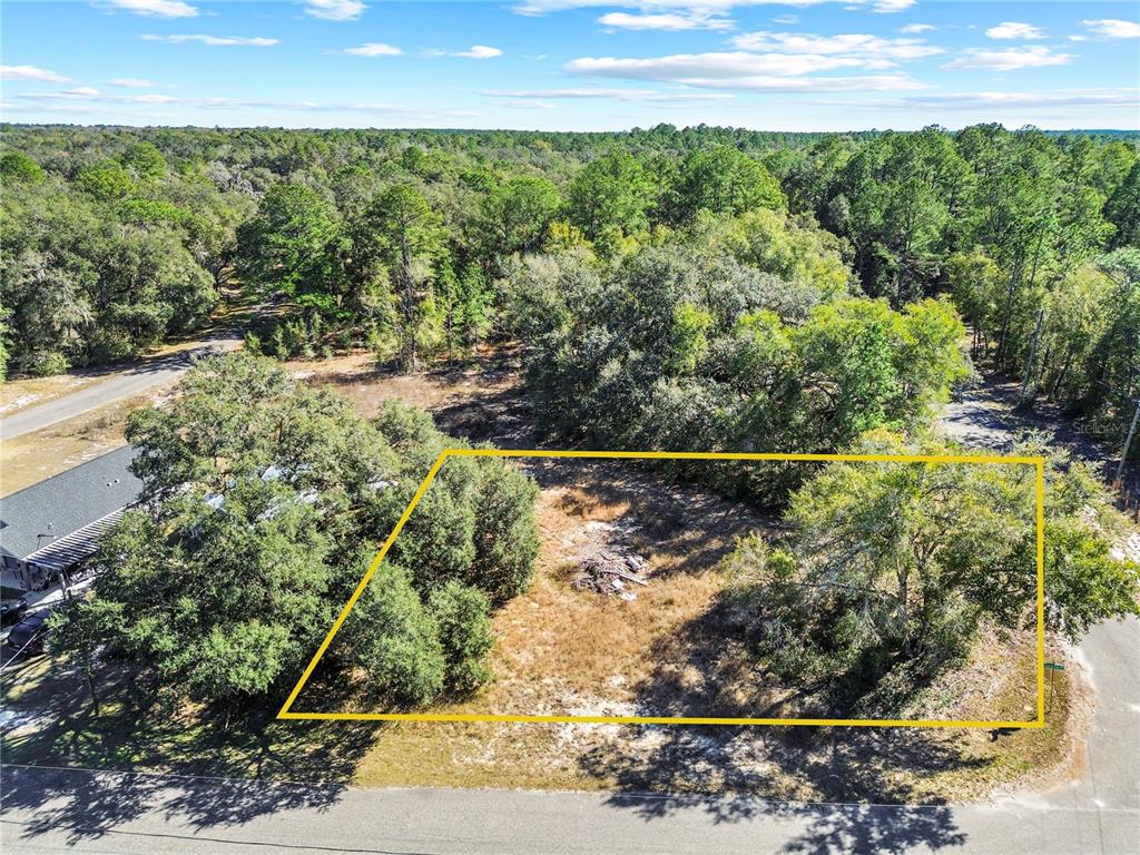 Property for sale at 0 GUAVA TERRACE PLACE & BAY PLACE RUN, OCKLAWAHA, FL, 32179