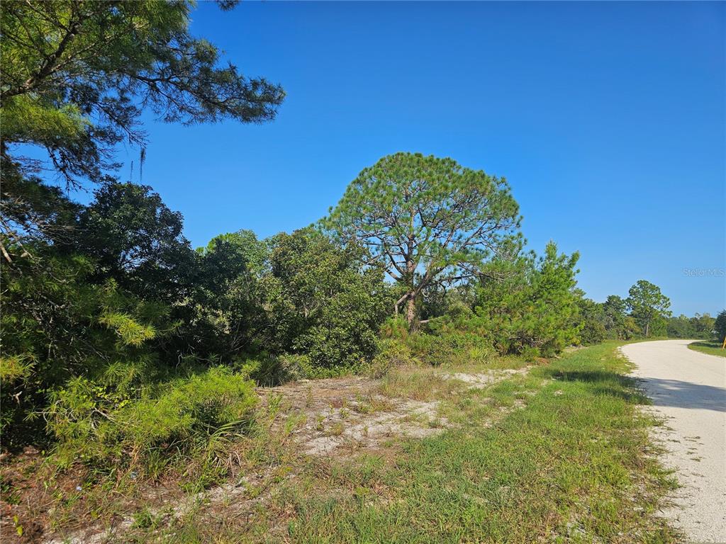 View west from the road.