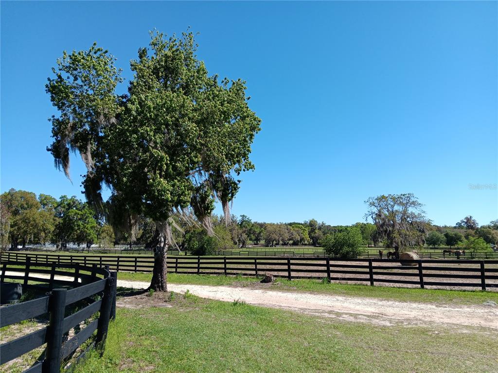 Property for sale at 2630 NW 140TH STREET, CITRA, FL, 32113