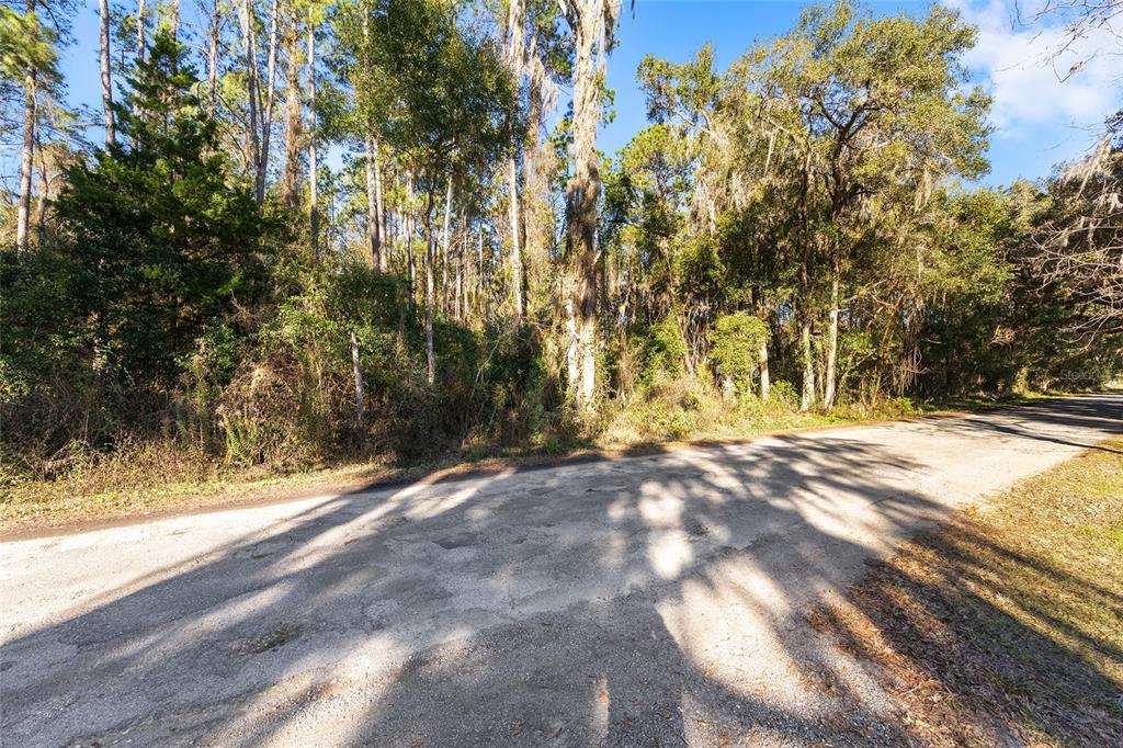 Property for sale at TBD SW 125TH AVENUE, OCALA, FL, 34481
