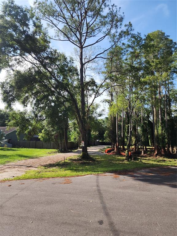 From the street looking up driveway to the lot.