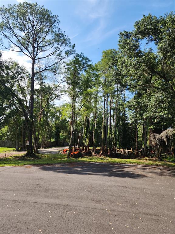 Paved street access with a cul-de-sac leading directly to the lot. Enjoy exceptional privacy, with ownership of most of the frontage surrounding the entire cul-de-sac. A rare opportunity to build in a peaceful, secluded setting with minimal traffic and added privacy.