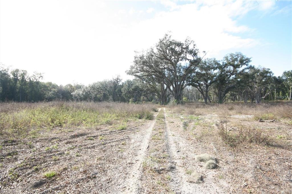 Property for sale at US HWY 301-6 ACRES, CITRA, FL, 32113