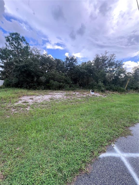 Property for sale at 317 BOWFIN DRIVE, POINCIANA, FL, 34759