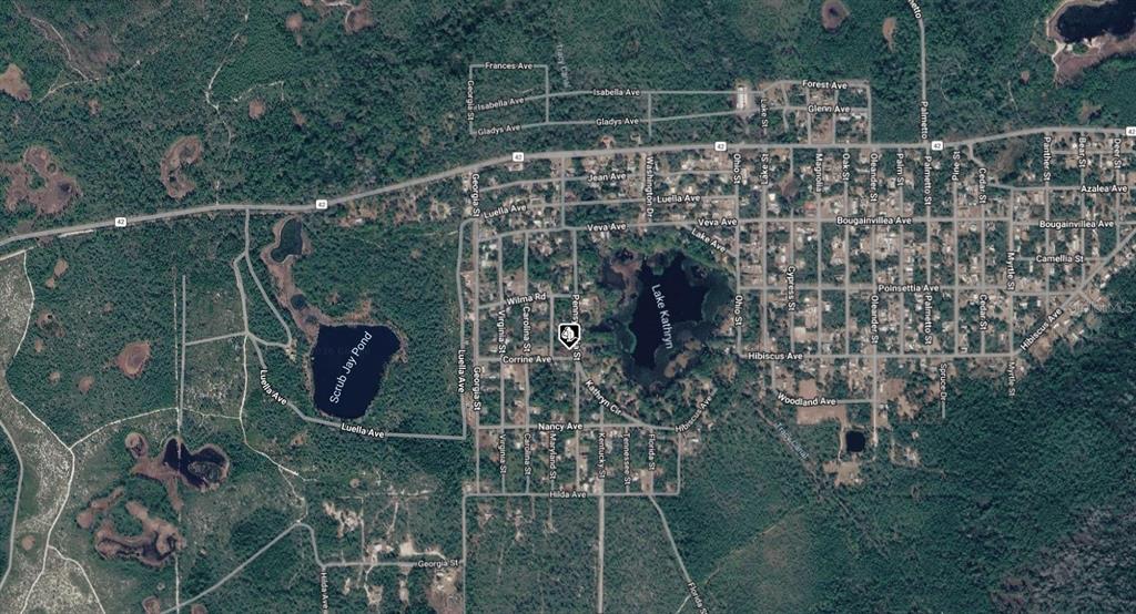 Property for sale at 15-17-28-0200-014-01900 PENNSYLVANIA STREET, PAISLEY, FL, 32767