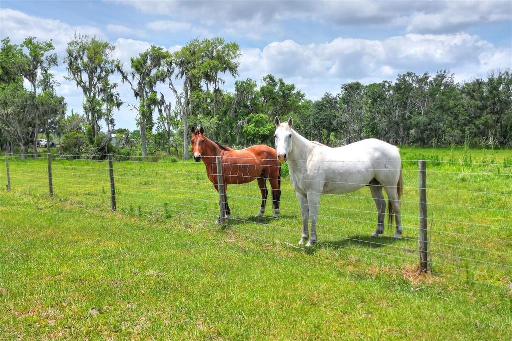 Property for sale at 0 S CR 39, LITHIA, FL, 33547