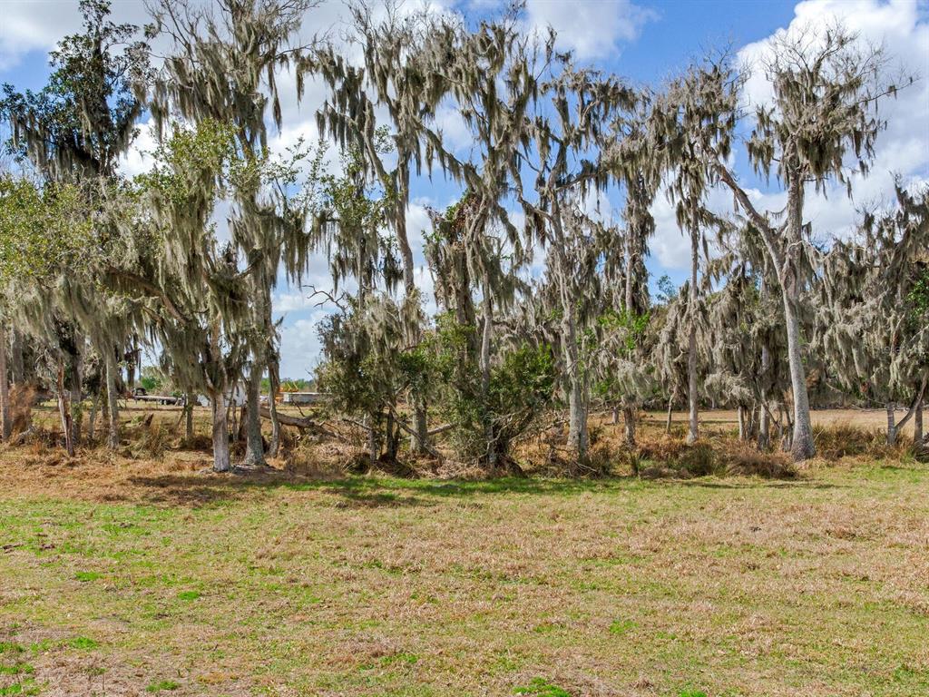 Property for sale at 0 S CR 39, LITHIA, FL, 33547