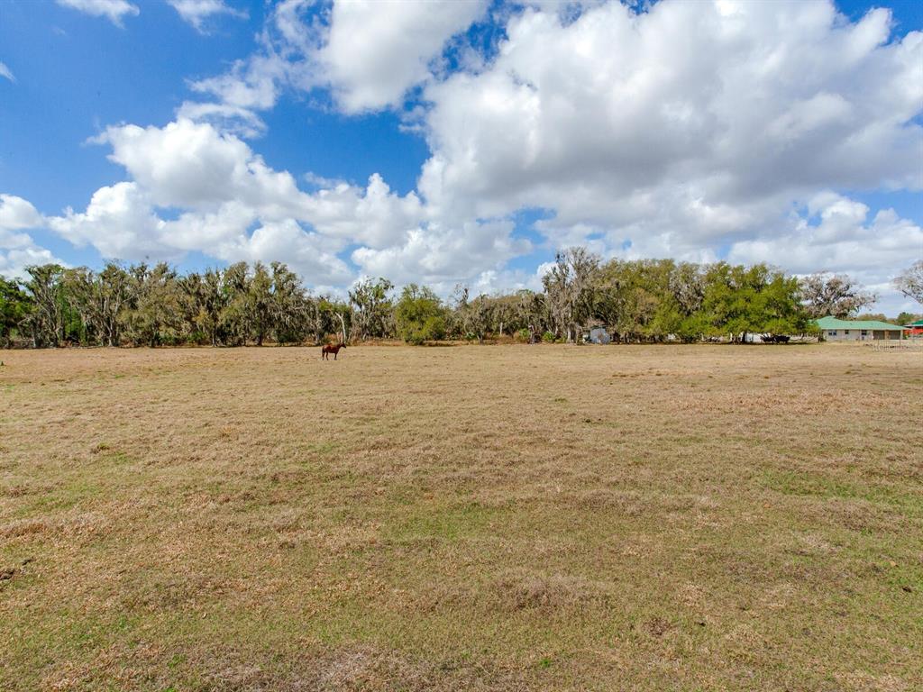 Property for sale at 0 S CR 39, LITHIA, FL, 33547