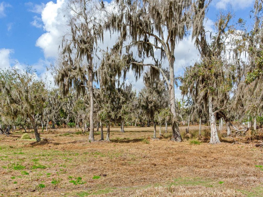 Property for sale at 0 S CR 39, LITHIA, FL, 33547
