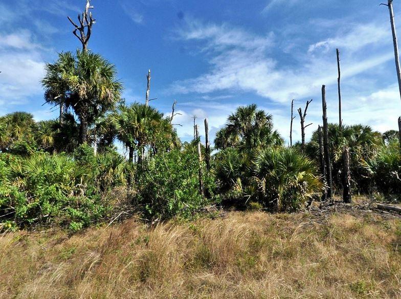 Property for sale at FARVIEW DRIVE, NORTH PORT, FL, 34288