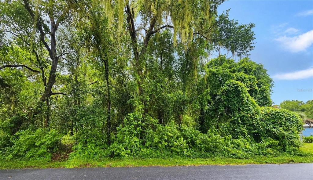 Property for sale at 6034 E SAGE STREET, INVERNESS, FL, 34452