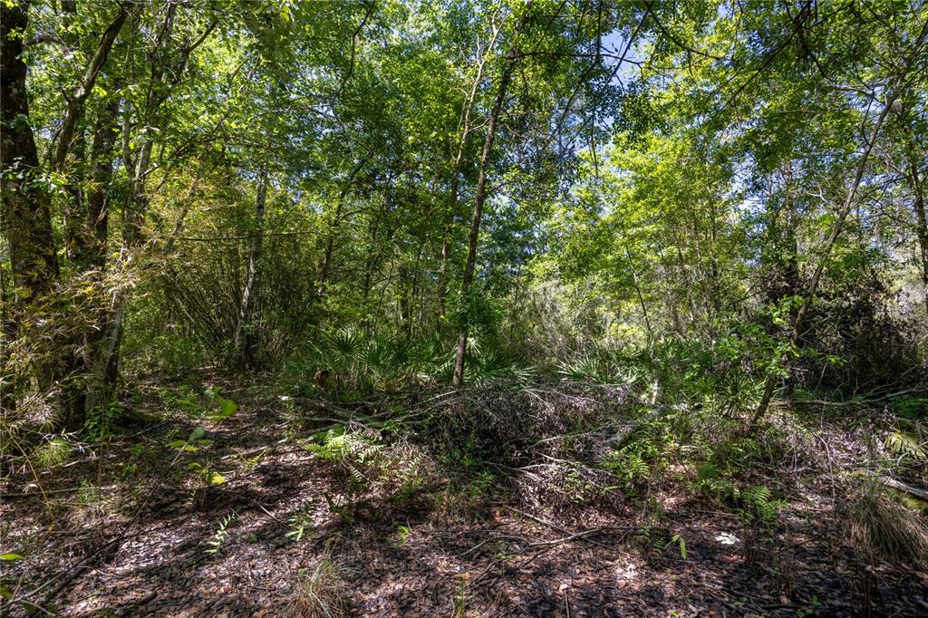 Property for sale at NE 108TH AVENUE, WALDO, FL, 32694