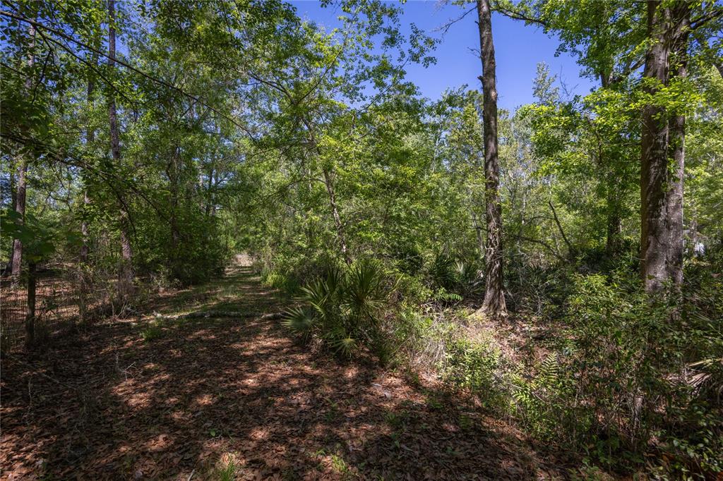 Property for sale at NE 108TH AVENUE, WALDO, FL, 32694
