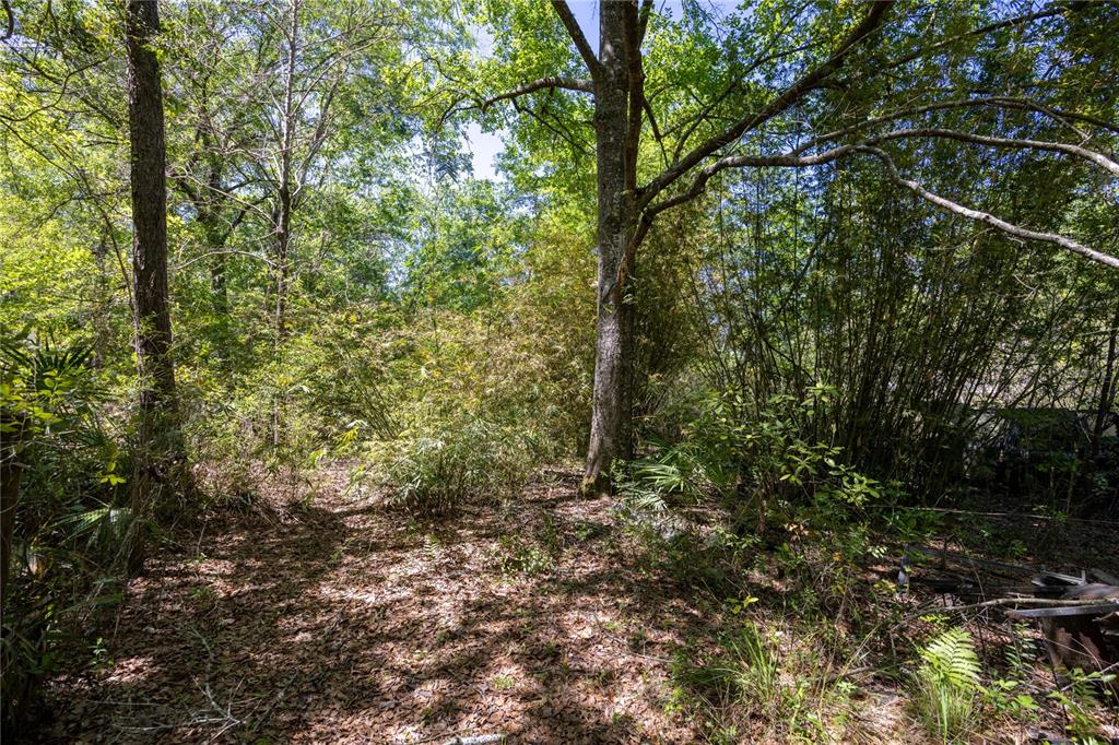 Property for sale at NE 108TH AVENUE, WALDO, FL, 32694