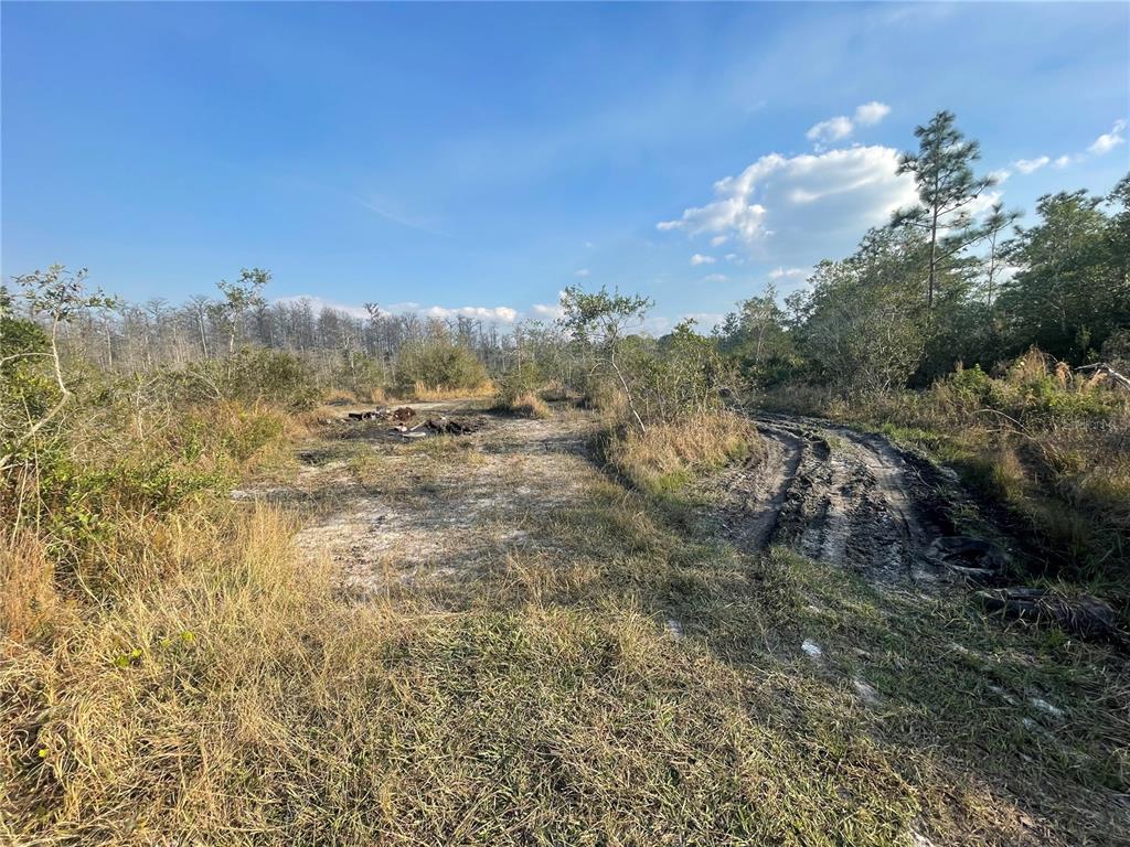 Property for sale at CONCORD ROAD, ST CLOUD, FL, 34773