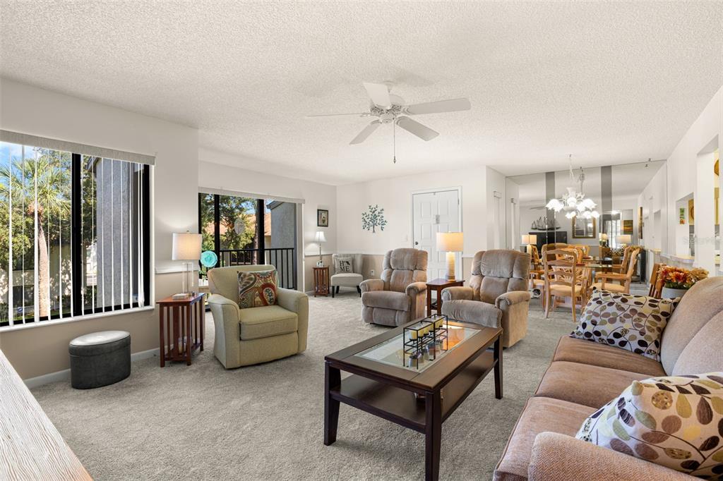 Living room/dining room