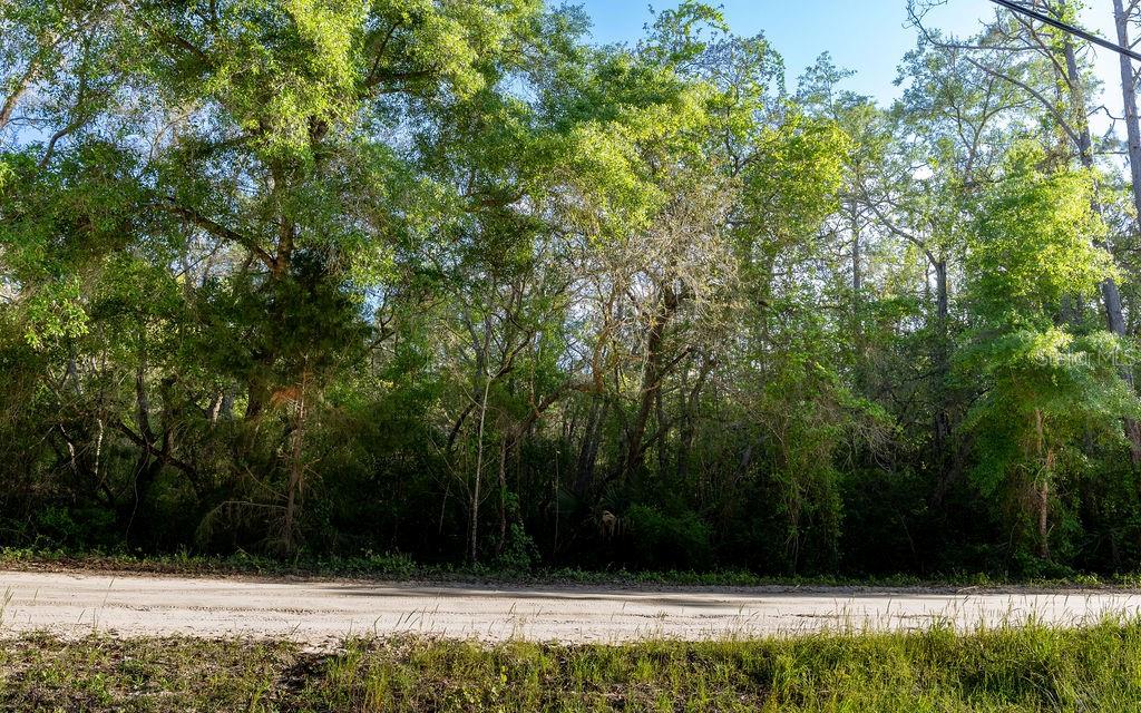 Property for sale at LAKE MAREGARET BOULEVARD, POMONA PARK, FL, 32181