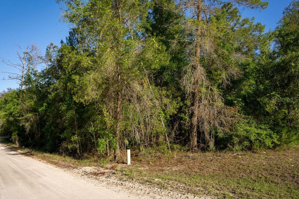 Property for sale at LAKE MAREGARET BOULEVARD, POMONA PARK, FL, 32181