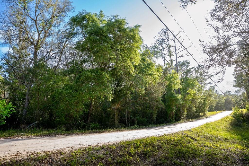 Property for sale at LAKE MAREGARET BOULEVARD, POMONA PARK, FL, 32181