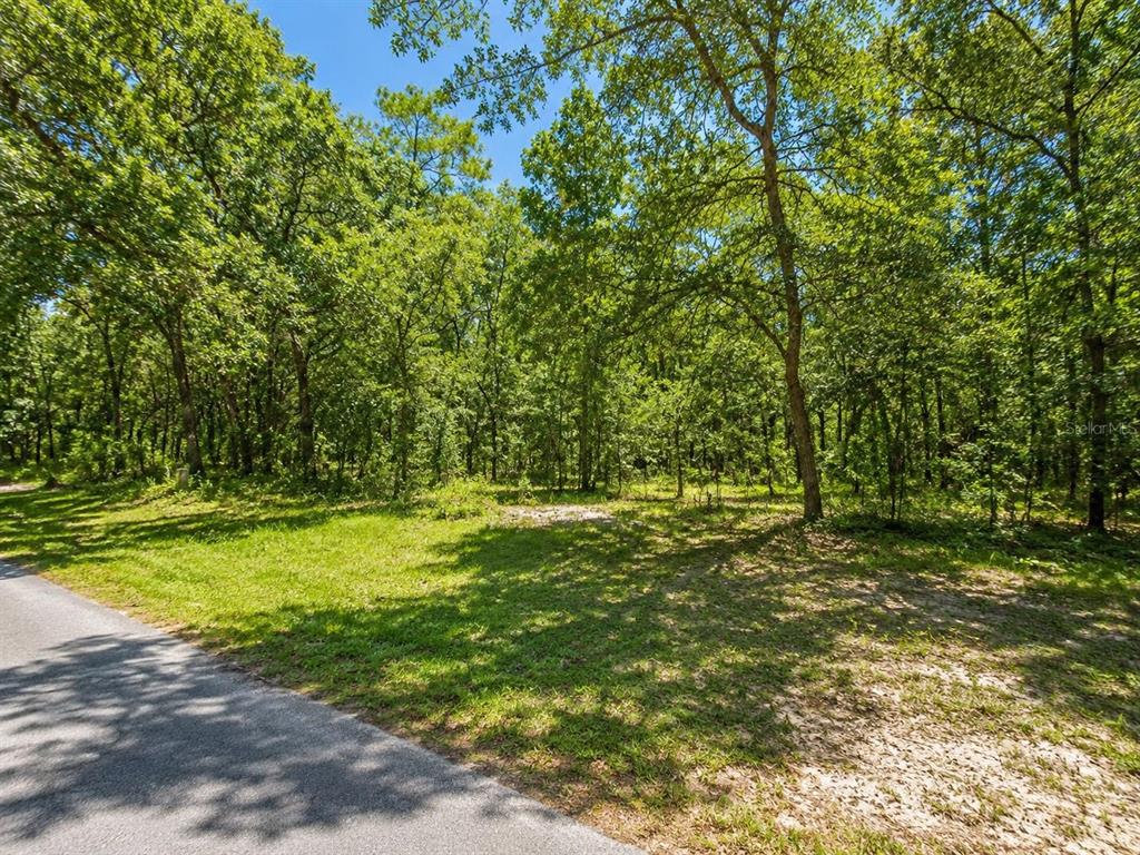 Property for sale at SEAGRAPE STREET, HOMOSASSA, FL, 34446
