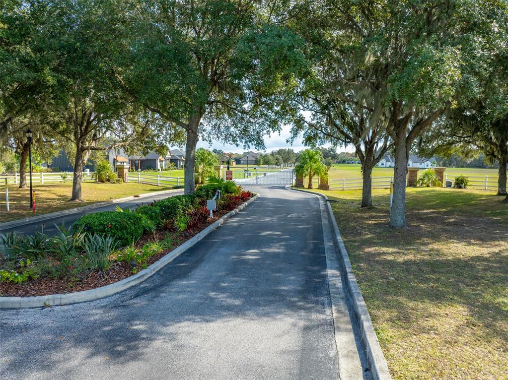 Alafia Estates Lane