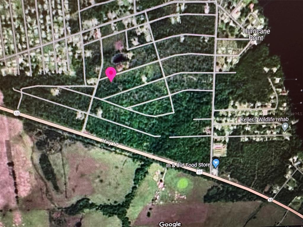 Property for sale at 225 COLONIAL AVENUE, CRESCENT CITY, FL, 32112