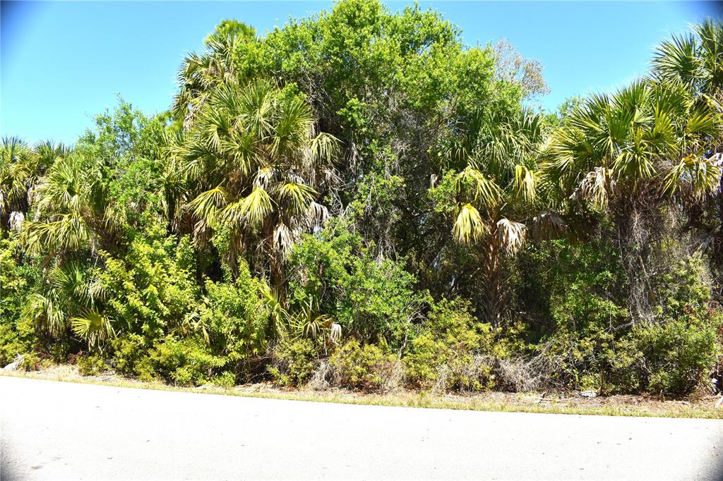 Property for sale at 13358 DRUMMOND AVENUE, PORT CHARLOTTE, FL, 33953