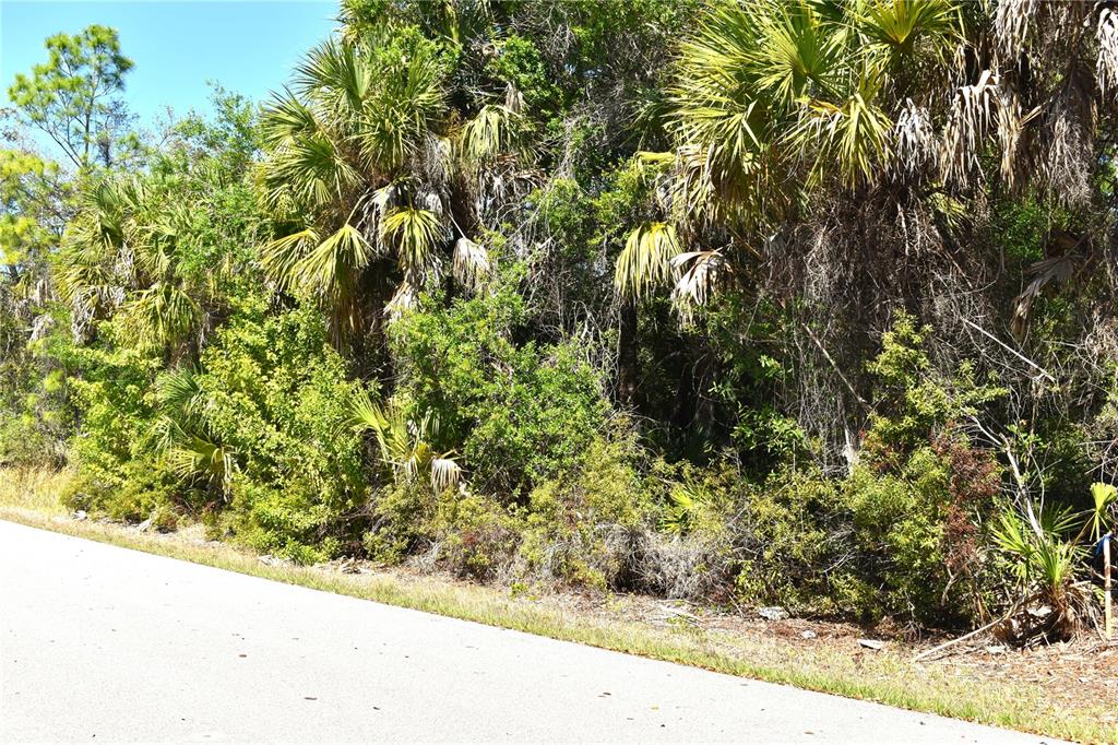 Property for sale at 13358 DRUMMOND AVENUE, PORT CHARLOTTE, FL, 33953