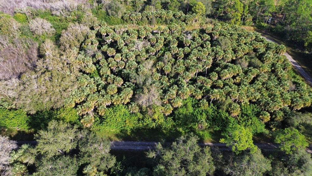 Property for sale at 1219 ROSITA STREET E, LEHIGH ACRES, FL, 33974