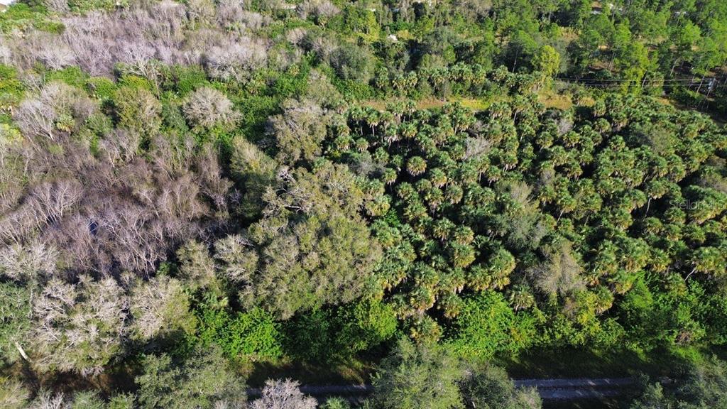 Property for sale at 1219 ROSITA STREET E, LEHIGH ACRES, FL, 33974