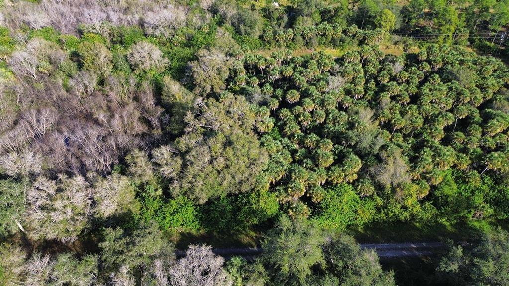 Property for sale at 1219 ROSITA STREET E, LEHIGH ACRES, FL, 33974