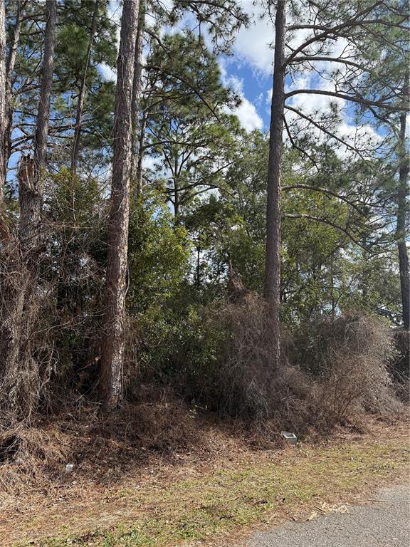 Property for sale at TBD SE 190TH AVENUE, SILVER SPRINGS, FL, 34488
