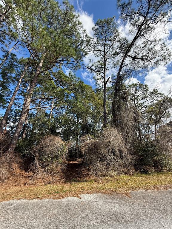 Property for sale at TBD SE 190TH AVENUE, SILVER SPRINGS, FL, 34488