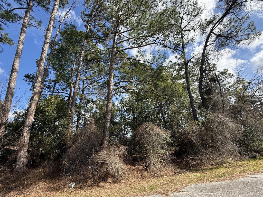 Property for sale at TBD SE 190TH AVENUE, SILVER SPRINGS, FL, 34488