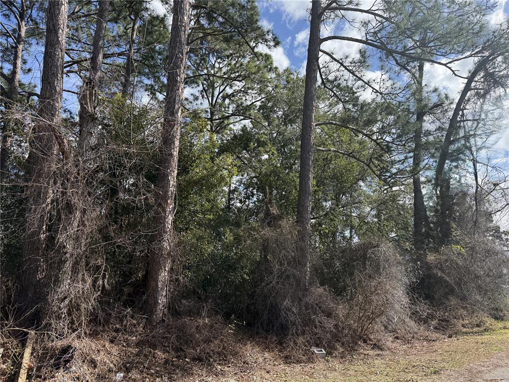 Property for sale at TBD SE 190TH AVENUE, SILVER SPRINGS, FL, 34488