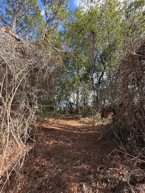 Property for sale at TBD SE 190TH AVENUE, SILVER SPRINGS, FL, 34488