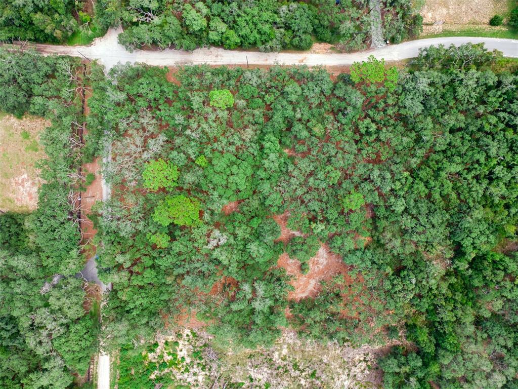Property for sale at 17206 RED BIRD ROAD, WINTER GARDEN, FL, 34787