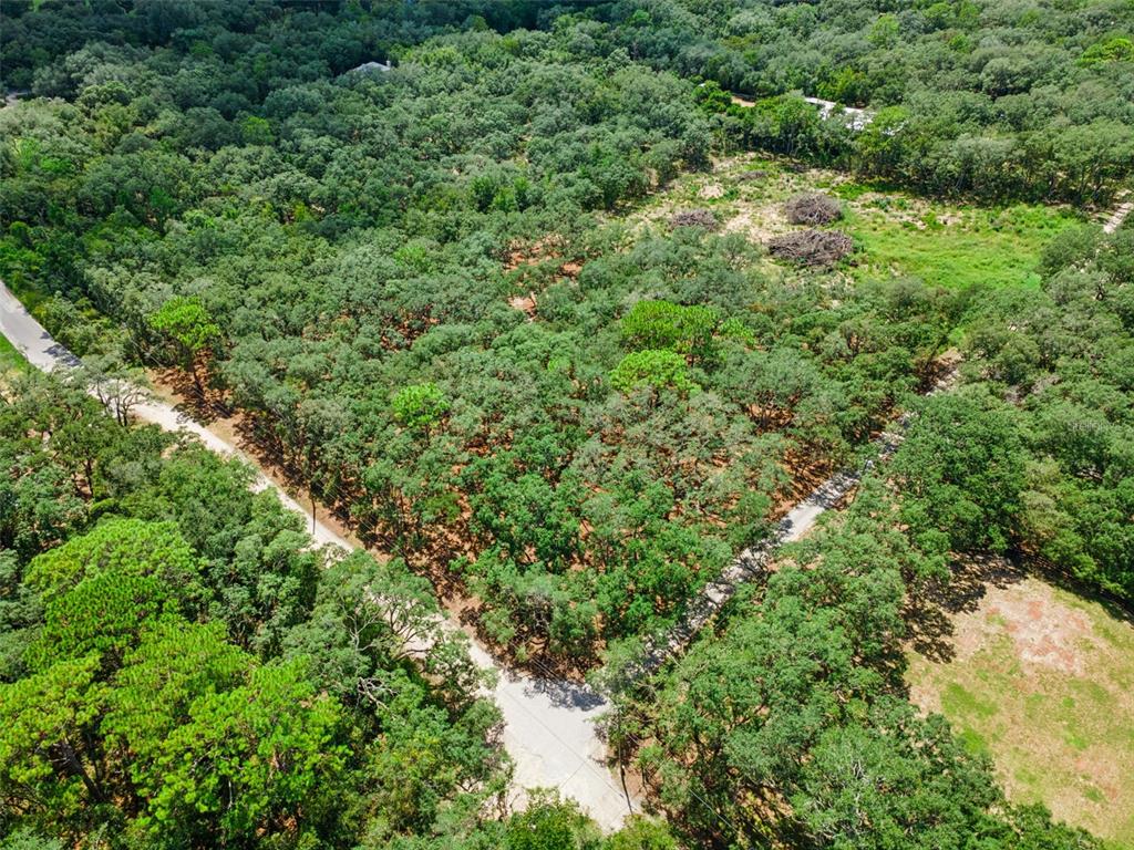 Property for sale at 17206 RED BIRD ROAD, WINTER GARDEN, FL, 34787