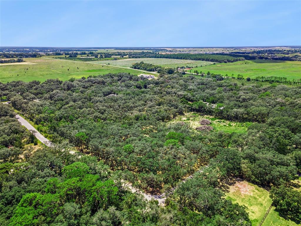 Property for sale at 17206 RED BIRD ROAD, WINTER GARDEN, FL, 34787